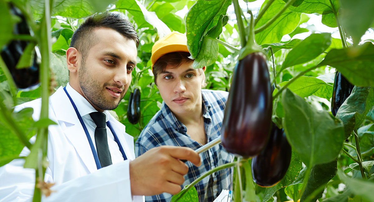 Beginner’s Guide to Organic Farming