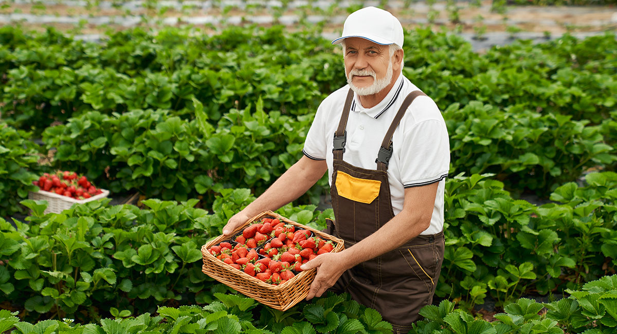Climate Change and Its Impact on Farming